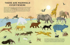 Alternative view 3 of Mammals Everywhere