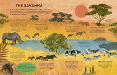 Alternative view 4 of Mammals Everywhere