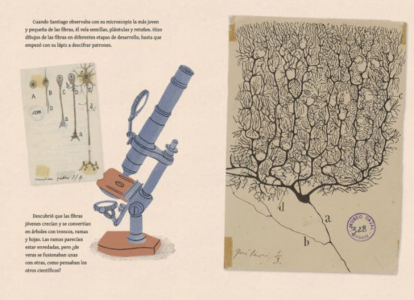 Santiago veía las cosas diferente: Santiago Ramón y Cajal, artista, médico, padre de la neurociencia