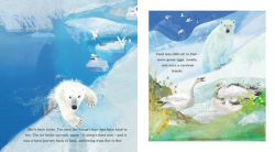 Alternative view 2 of Ice Journey of the Polar Bear