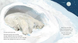 Alternative view 4 of Ice Journey of the Polar Bear