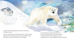 Alternative view 5 of Ice Journey of the Polar Bear