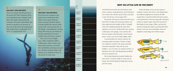 How to Dive to the Deepest Place on Earth