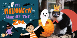 Alternative view 2 of Halloween at the Zoo: (A Rhyming Board Book for Babies, Toddlers, Preschoolers, and Kids Ages 2-5)