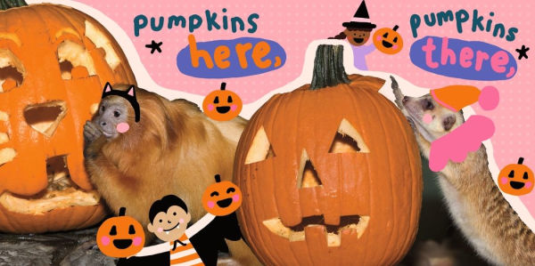 Halloween at the Zoo: (A Rhyming Board Book for Babies, Toddlers, Preschoolers, and Kids Ages 2-5)