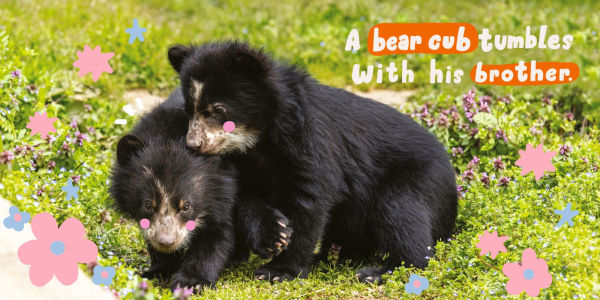 Babies at the Zoo