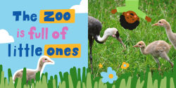 Alternative view 4 of Babies at the Zoo