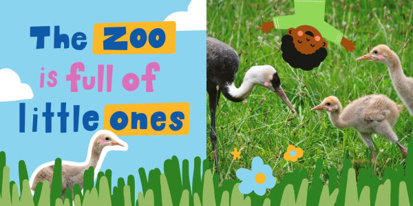 Babies at the Zoo