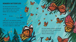 Alternative view 2 of Wriggle and Buzz: My First Book of Bugs