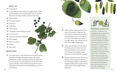 Alternative view 4 of How to Be a Color Wizard: Forage and Experiment with Natural Art Making