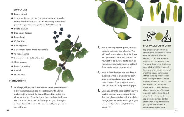 How to Be a Color Wizard: Forage and Experiment with Natural Art Making