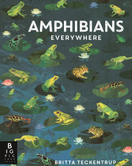 Title: Amphibians Everywhere, Author: Camilla de la Bedoyere