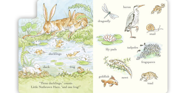 Out and About in 100 Words: A Guess How Much I Love You Book