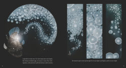 Alternative view 3 of Anglerfish: The Seadevil of the Deep
