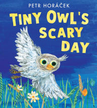 Title: Tiny Owl's Scary Day, Author: Petr Horácek