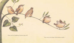 Alternative view 3 of The Nest That Wren Built
