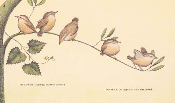 The Nest That Wren Built