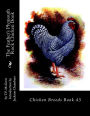 The Feather's Plymouth Rock Chicken Book: Chicken Breeds Book 43