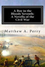 A Boy in the Bloody Seventh: A Novella of the Civil War