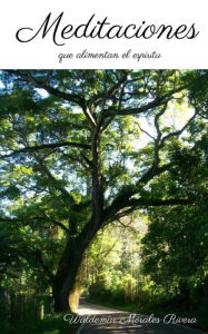 Title: Meditaciones...: Que alimentan el espï¿½ritu, Author: Sol Nydia Velez Rivera