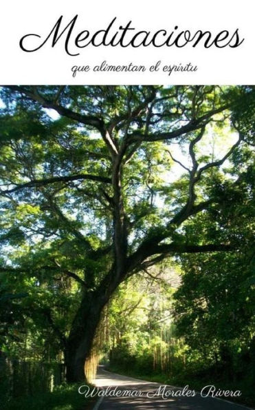 Meditaciones...: Que alimentan el espï¿½ritu