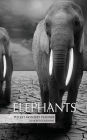 Elephants Pocket Monthly Planner 2017: 16 Month Calendar
