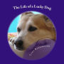 The Life of a Lucky Dog