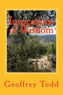 Invocations of Wisdom: The Romance of the Classical World
