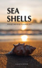 Sea Shells Pocket Monthly Planner 2017: 16 Month Calendar