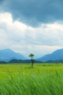 Nature Preserve in Bavaria Journal: 150 Page Lined Notebook/Diary