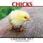 Chicks Calendar 2017: 16 Month Calendar