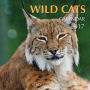 Wild Cats Calendar 2017: 16 Month Calendar
