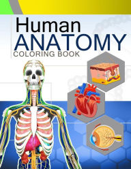 Title: Human Anatomy Coloring Book: Anatomy & Physiology Coloring Book 2nd Edtion, Author: Dr Rodney M Strickland