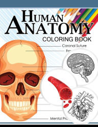 Title: Human Anatomy Coloring Book: Anatomy & Physiology Coloring Book 3rd Edtion, Author: Dr Michael D Clark