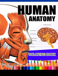 Title: Human Anatomy Coloring Book: Anatomy & Physiology Coloring Book (Complete Workbook), Author: Dr James K Hudak