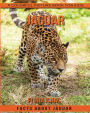 Facts About Jaguar A Colorful Picture Book For Kids