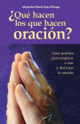 Qué hacen los que hacen oración?: Guía práctica para empezar a orar y disfrutar de la oración