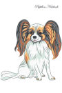 Papillon Notebook Record Journal, Diary, Special Memories, To Do List, Academic Notepad, and Much More