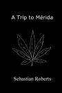 A Trip to Mérida