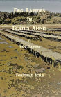 Erg Lapides In Bestiis Amnis: Et Nam Flumine