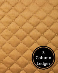 Title: 3 Column Ledger: Three Columnar Format, Author: Insignia Accounts