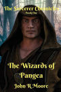 The Wizards of Pangea