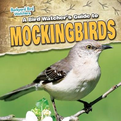 A Bird Watcher S Guide To Mockingbirds By Aife Arnim Hardcover