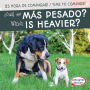 ¿Cuál es más pesado? / Which Is Heavier?