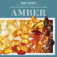 Title: Amber, Author: Beth Gottlieb