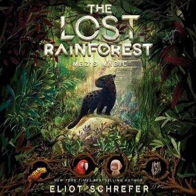 Mez's Magic (The Lost Rainforest Series #1)