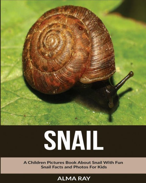 Snail A Children Pictures Book About Snail With Fun Snail Facts and