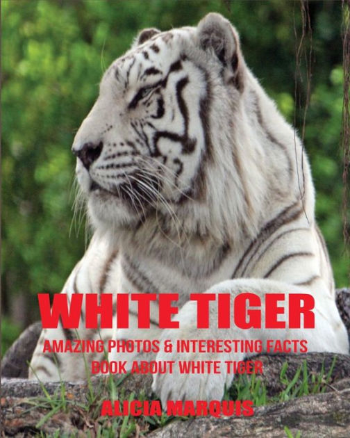 White Tiger Amazing Photos & Interesting Facts Book about White Tiger