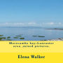 Morecambe bay-Lancaster area ,mixed pictures.