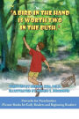 A Bird in the Hand is Worth Two in the Bush: Picture Books for Early Readers and Beginning Readers: Proverbs for Preschoolers